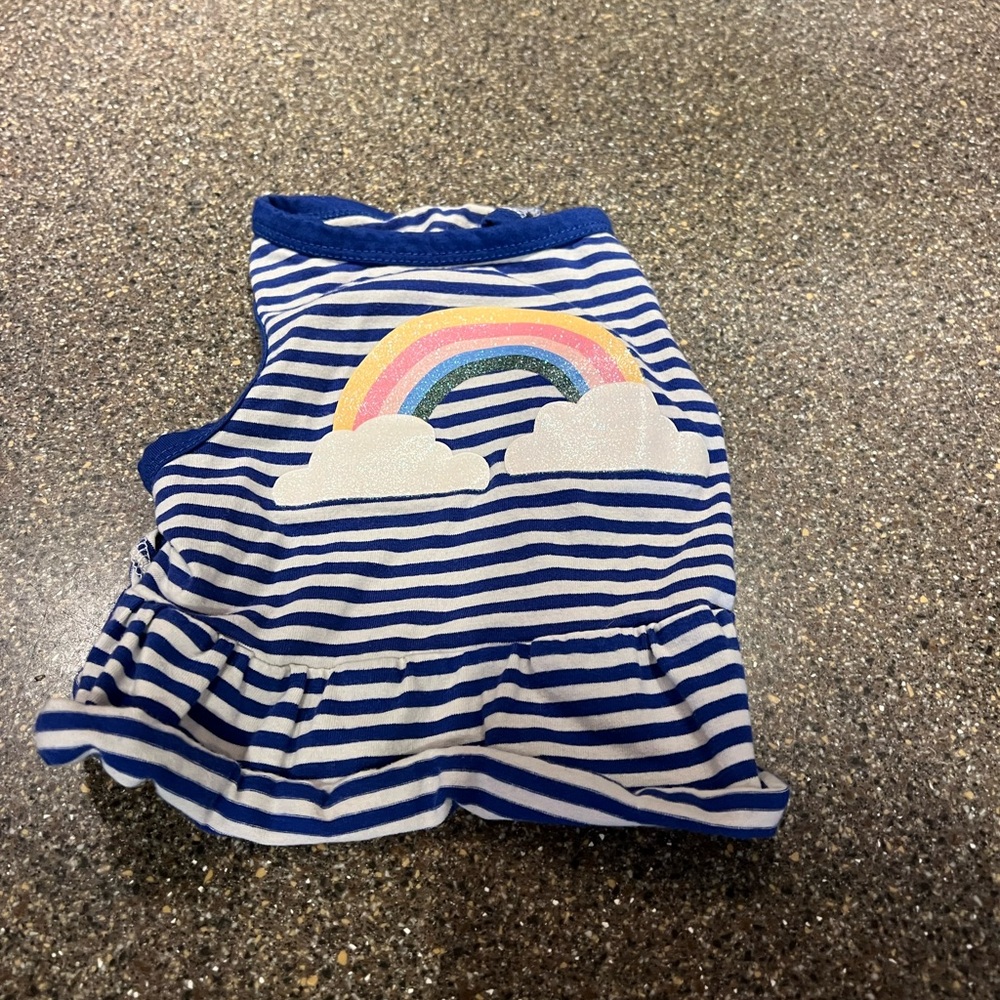 Striped Blue Dog Dress with Rainbow Design